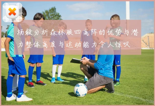 杨毅分析森林狼四高阵的优势与潜力整体高度与运动能力令人惊叹